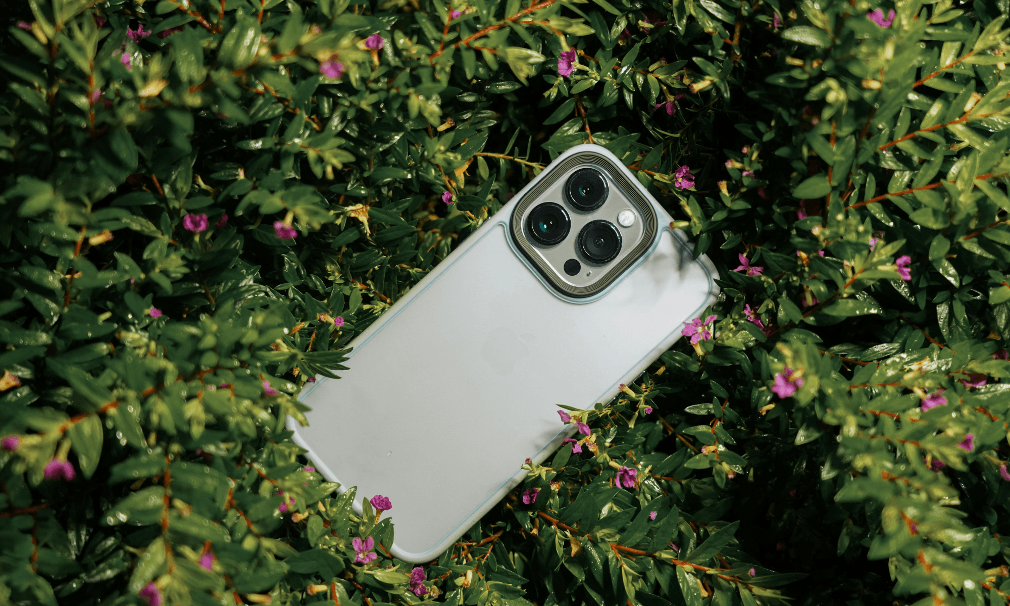 Close-up shot of an iPhone 14 on green plants.